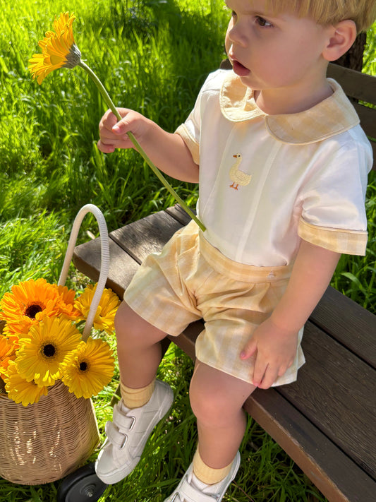 Silly Goose Two Piece Set